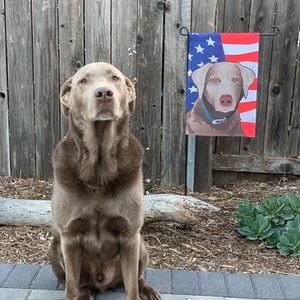 Meet your Posher, Jen